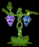 Grape plant from Plants vs Zombies Roblox experience.